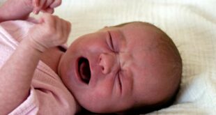 29470426 verdauungsprobleme blaehungen baby saeugling schmerzen kraempfe tipps hilfe 2kqpjiuvz3fe