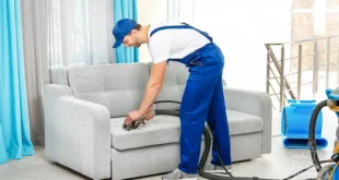 Чем профессионально чистят мягкую мебель?
